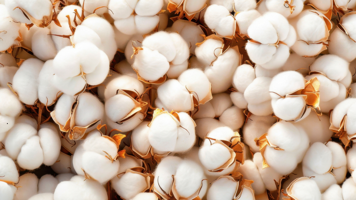 Cotton