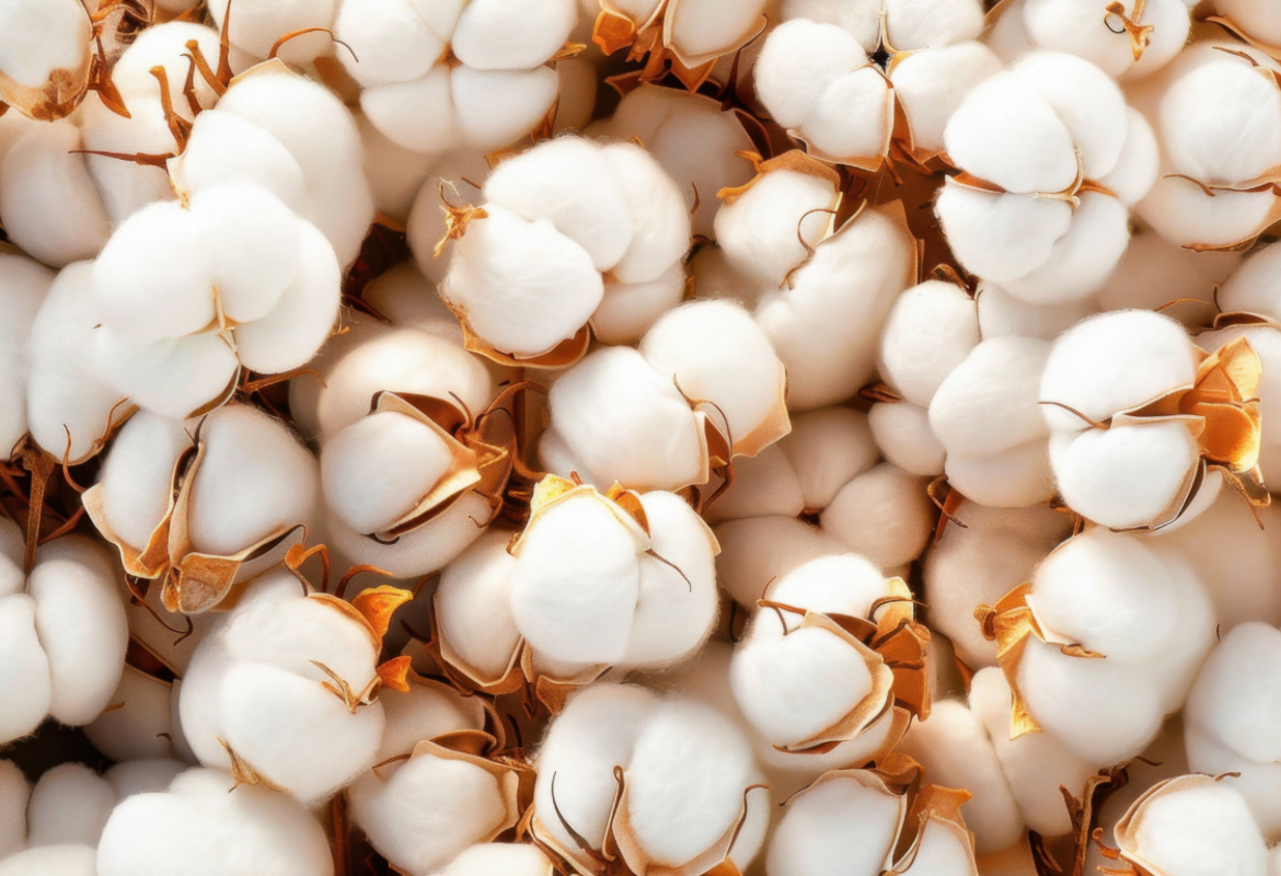 Cotton