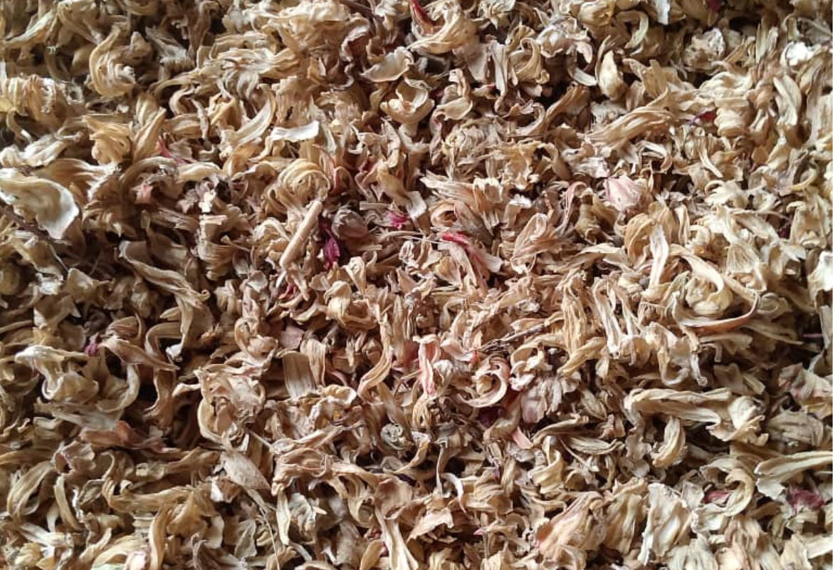 White Hibiscus Flower