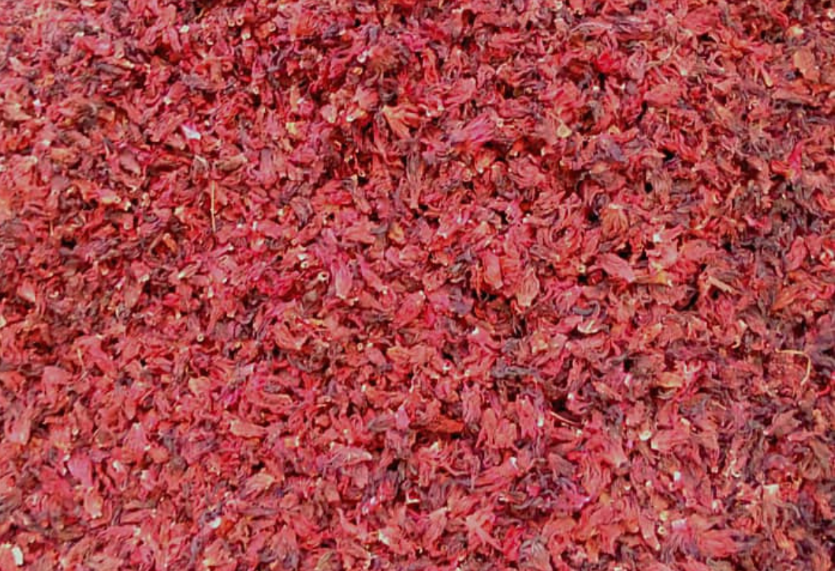 Prickly Red Hibiscus Flower
