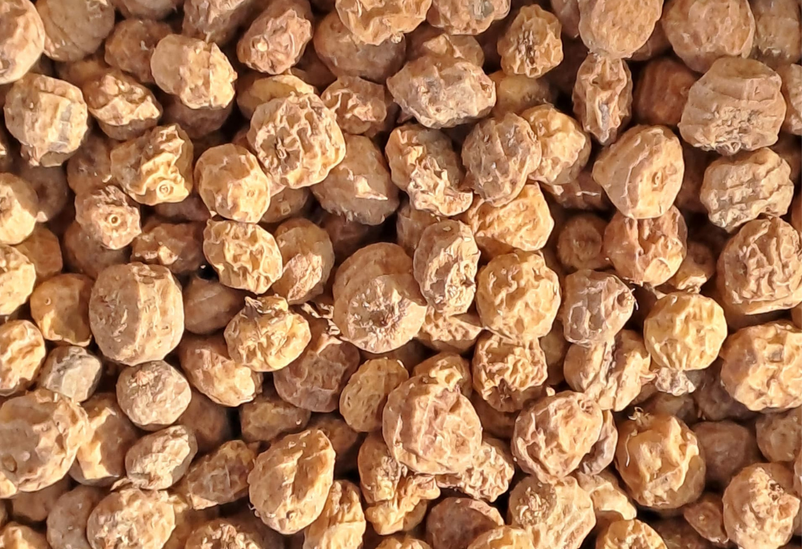 Tiger Nut