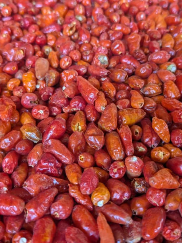 Chilli Pepper (Bird Eye)